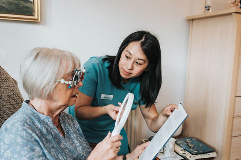 Low vision specialists